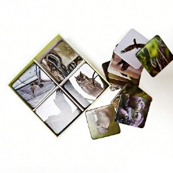 Educational Custom Memory Match Card Game with Unique Designs for Kids